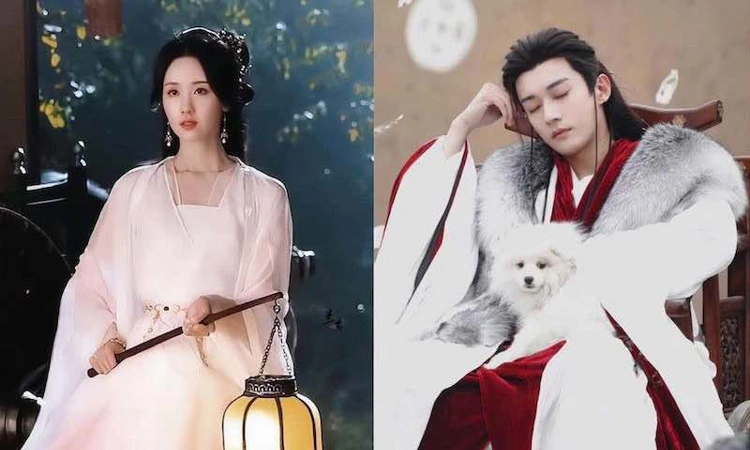 Phân tích ba bộ phim flop